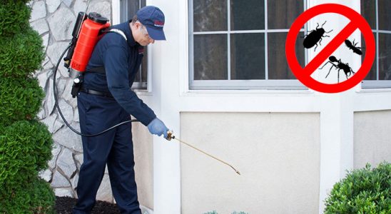 Marmaris Dezenfeksiyon böcek ilaçlama ve haşere kontrolü — ilaclama-tr.com